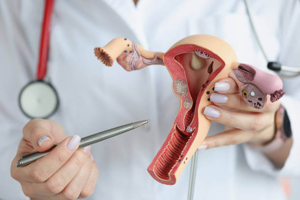 Gynecology Services